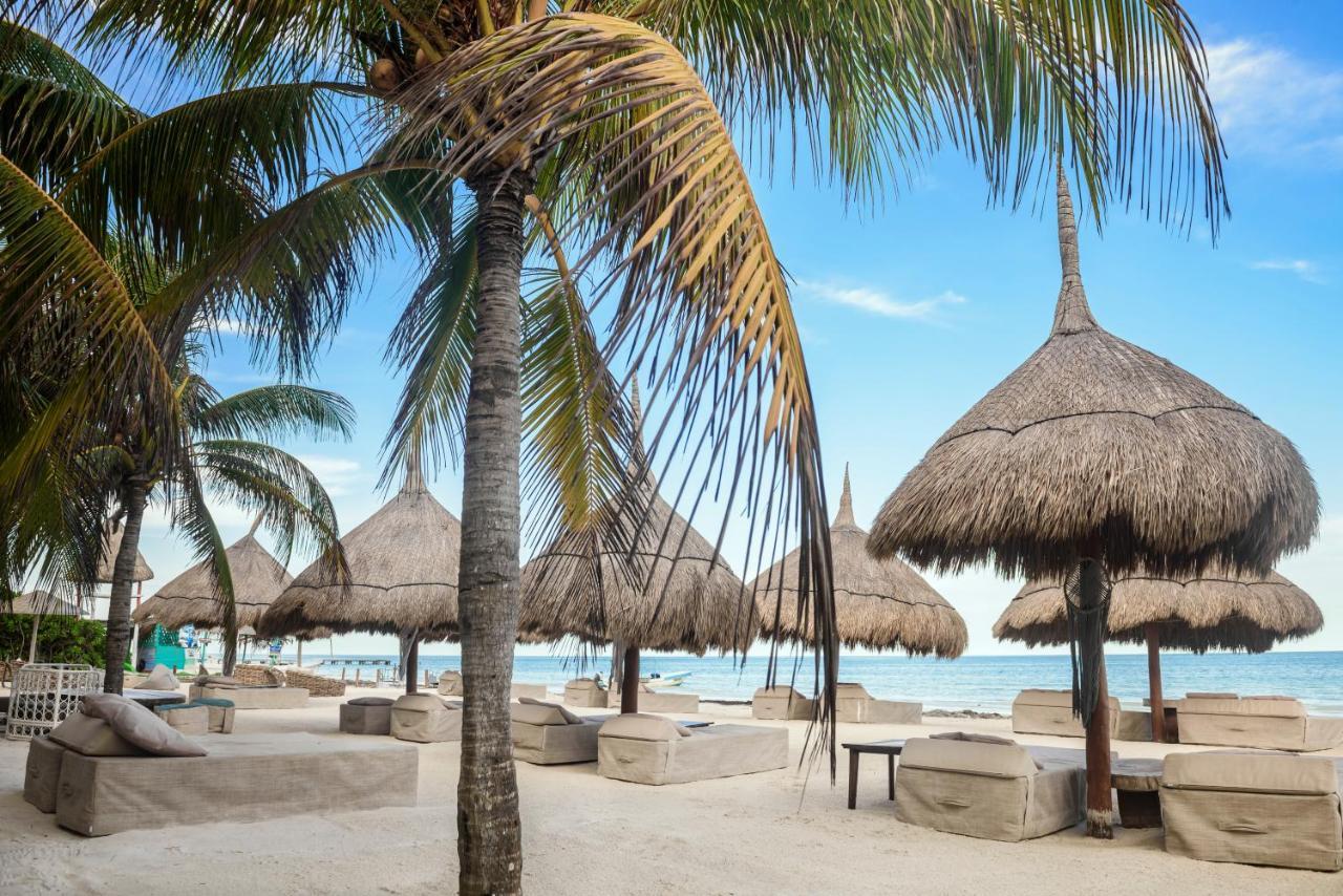 Casa Las Tortugas Petit Beach Hotel & Spa Isla Holbox Exteriér fotografie