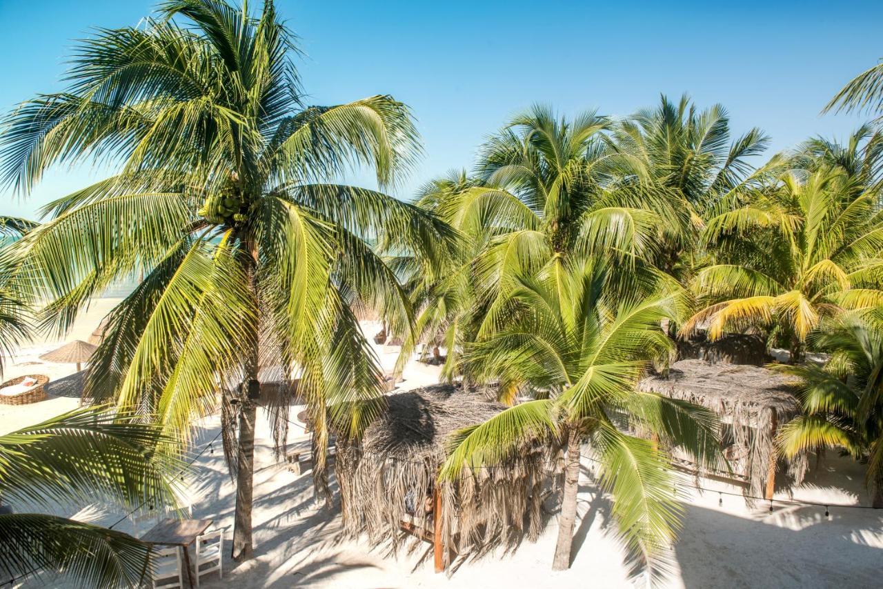 Casa Las Tortugas Petit Beach Hotel & Spa Isla Holbox Exteriér fotografie