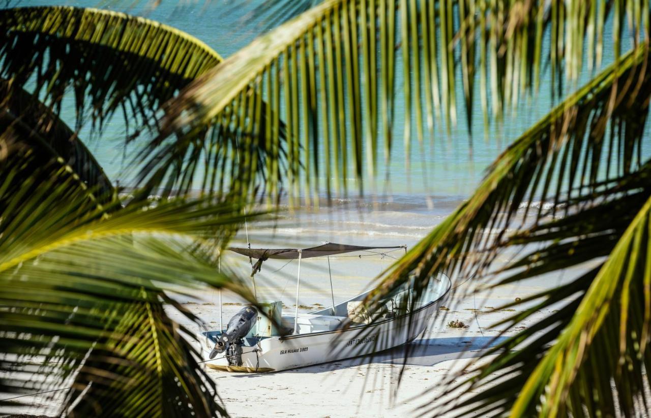 Casa Las Tortugas Petit Beach Hotel & Spa Isla Holbox Exteriér fotografie